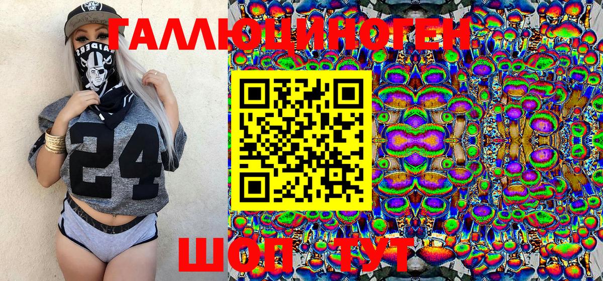 Псилоцибиновые грибы Psilocybine cubensis Томск