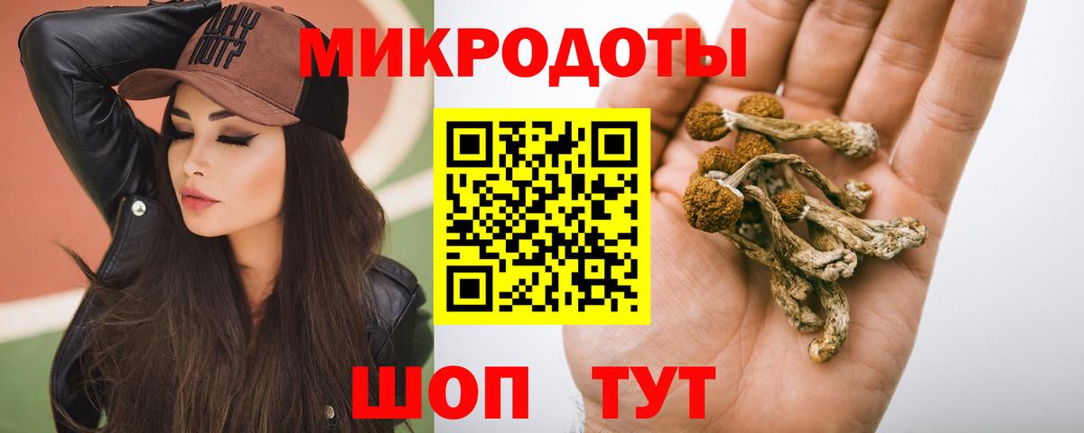 Томск  Псилоцибиновые грибы MAGIC MUSHROOMS  Вход с VPN 