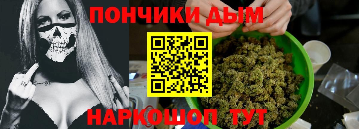 Бошки Шишки Bruce Banner  Бошки марихуана ГИДРОПОН  Канабис план  Шишки марихуана тримм  Вход с VPN  Томск 